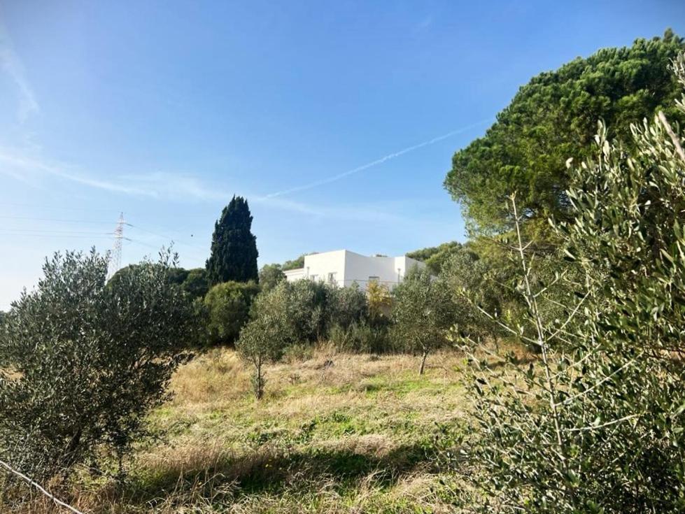 Agreen Country House Olbia Ngoại thất bức ảnh