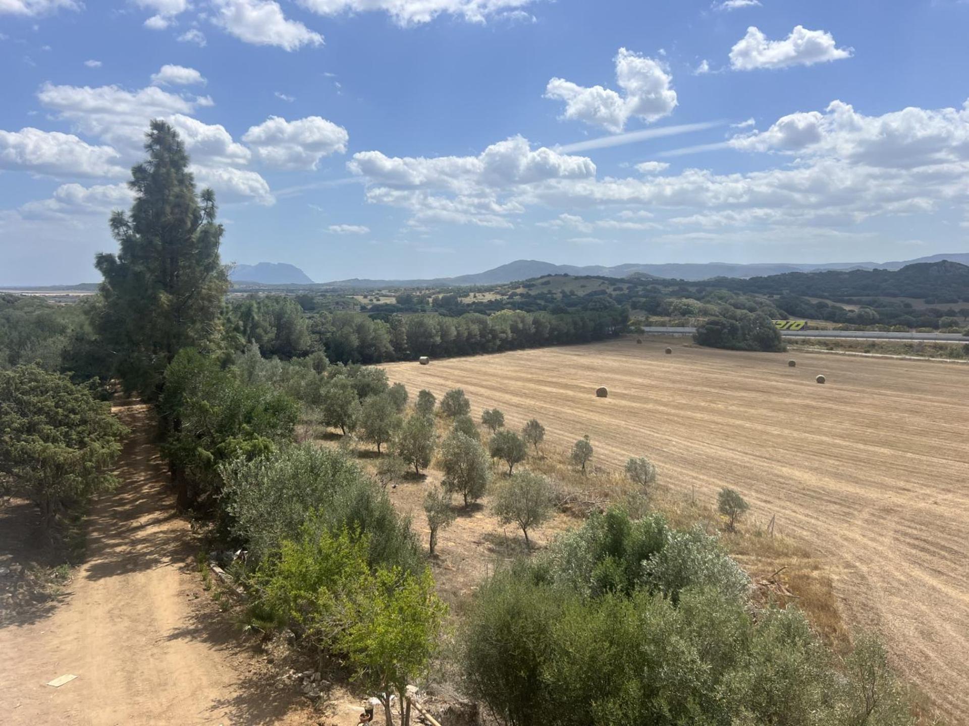 Agreen Country House Olbia Ngoại thất bức ảnh