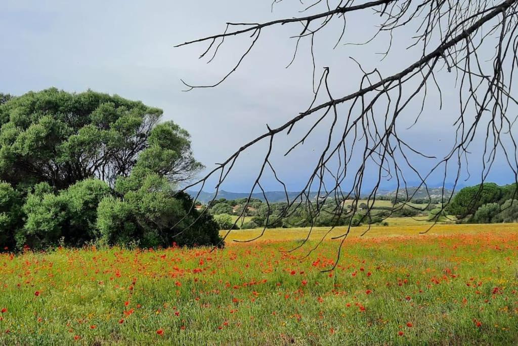Agreen Country House Olbia Ngoại thất bức ảnh