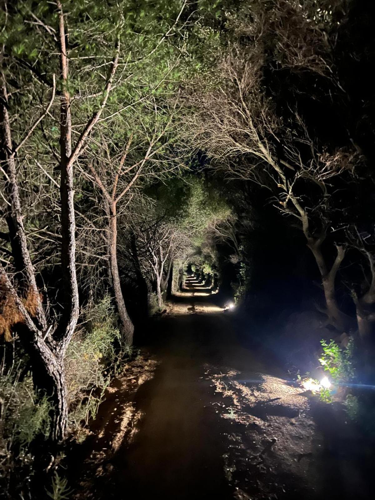 Agreen Country House Olbia Ngoại thất bức ảnh